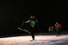 20200307205946_MAVA7042