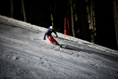 vip_downhilka_2020_pigac_si__MPP3442